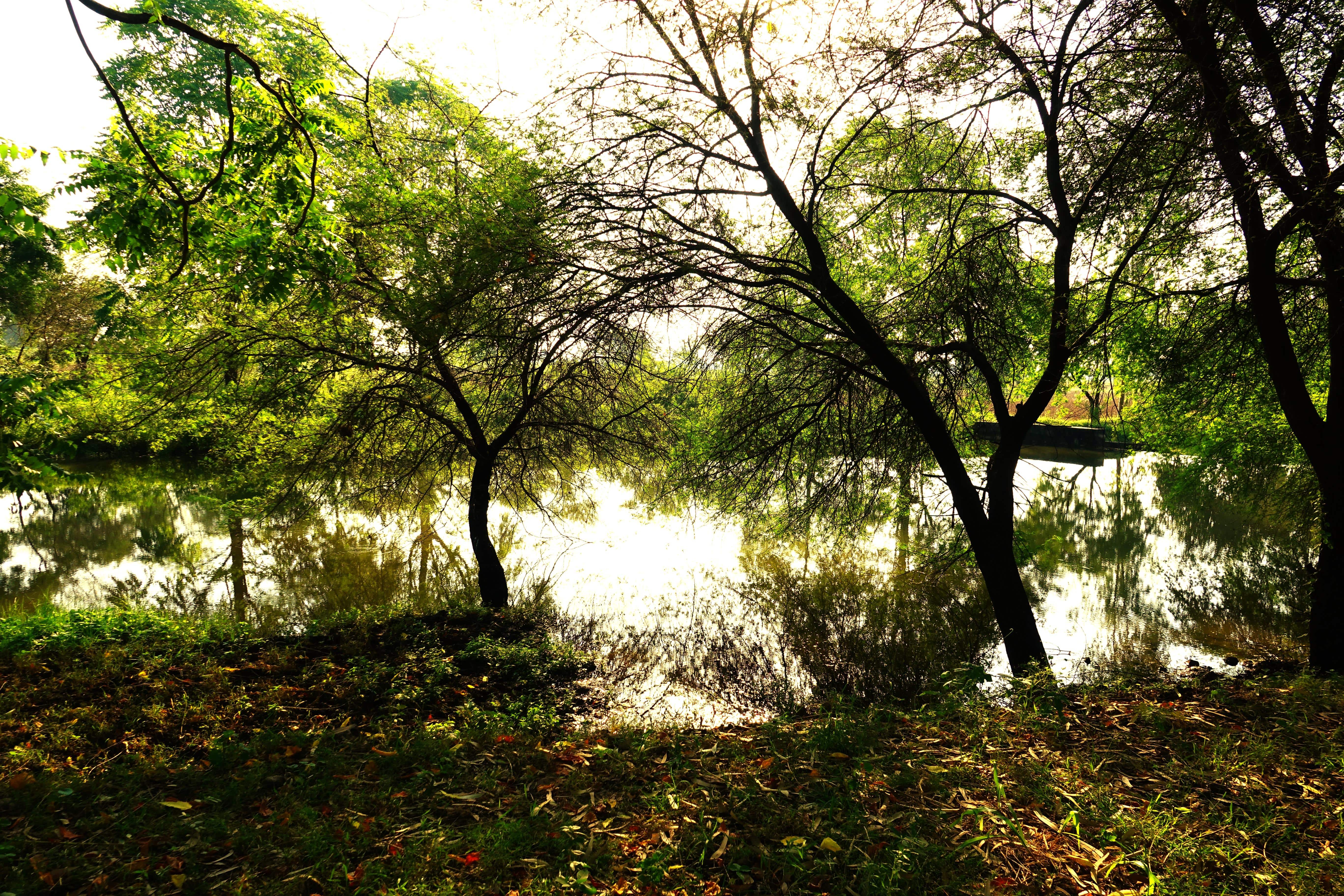 Permakültür Nedir? Sürdürülebilir Yaşam Rehberi